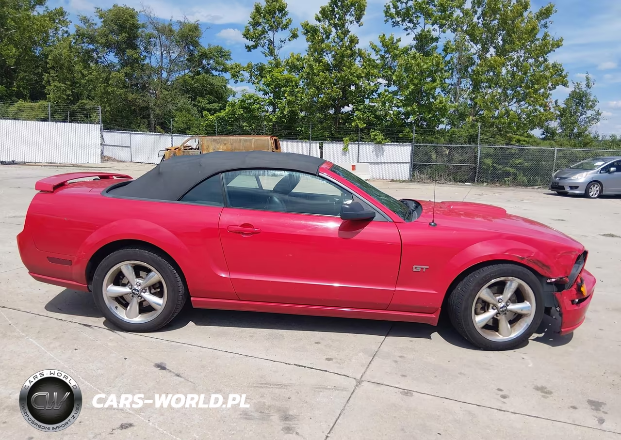 2007 Ford Mustang Gt Deluxe-Gt Premium VIN:1ZVFT85H875304718 - 13