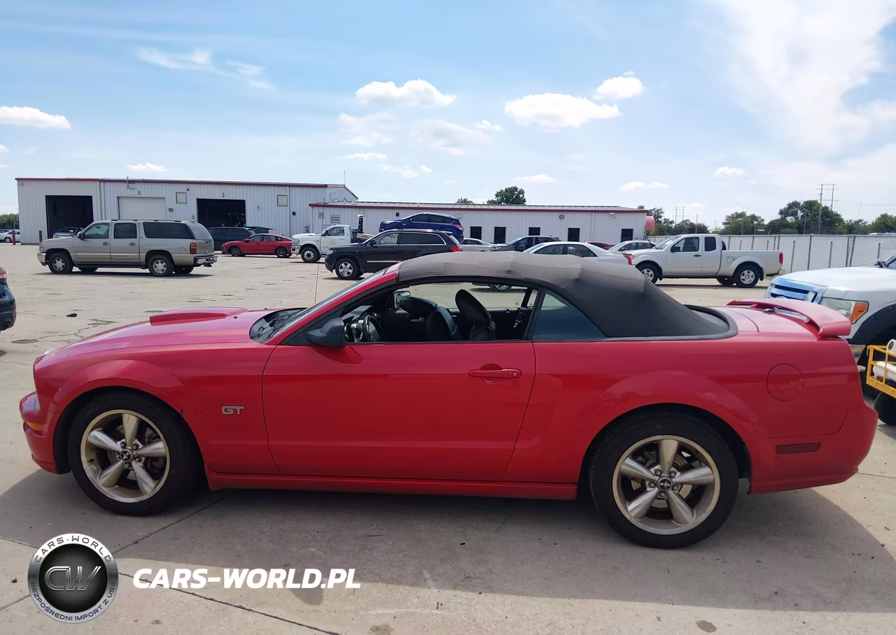 2007 Ford Mustang Gt Deluxe-Gt Premium VIN:1ZVFT85H875304718 - 14