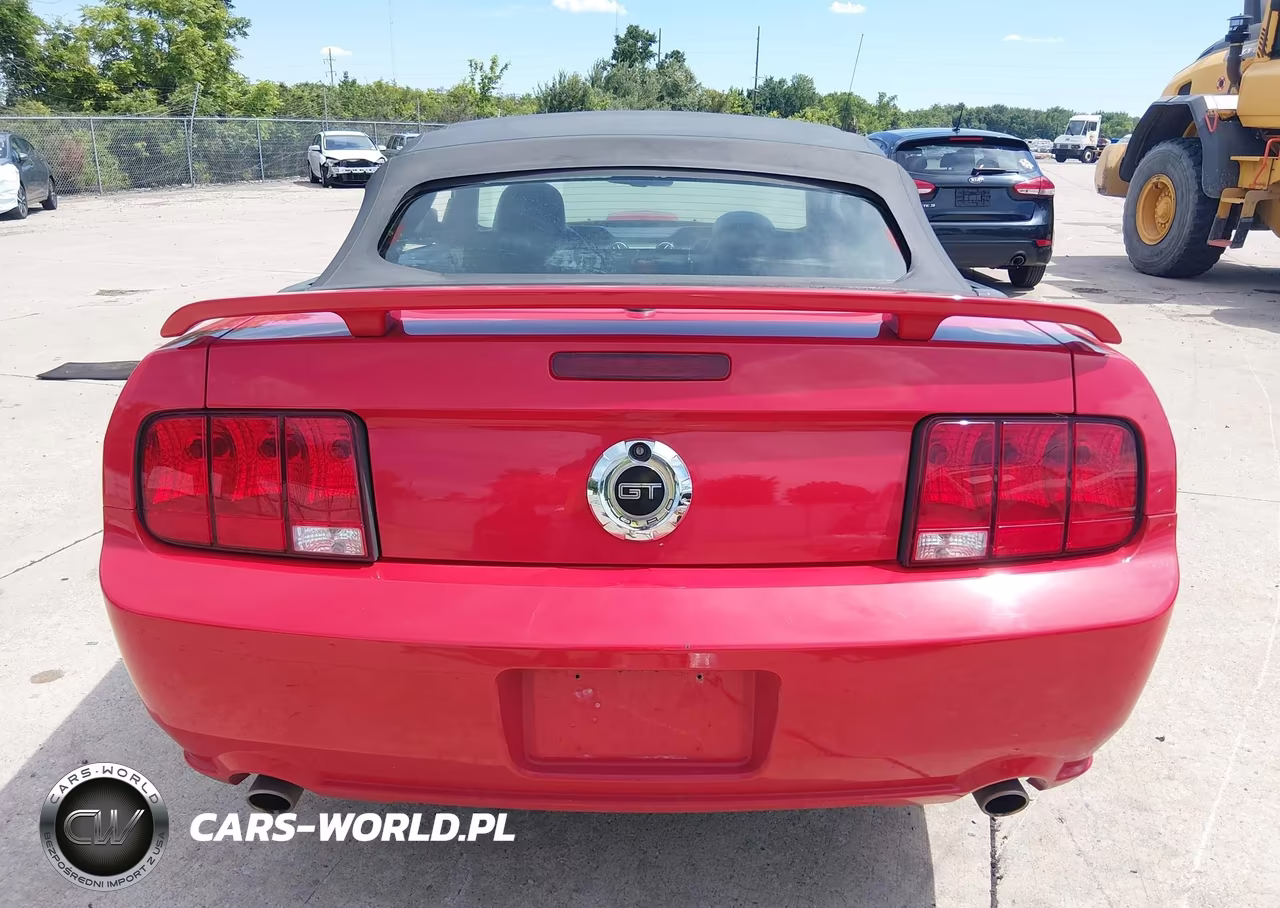 2007 Ford Mustang Gt Deluxe-Gt Premium VIN:1ZVFT85H875304718 - 16