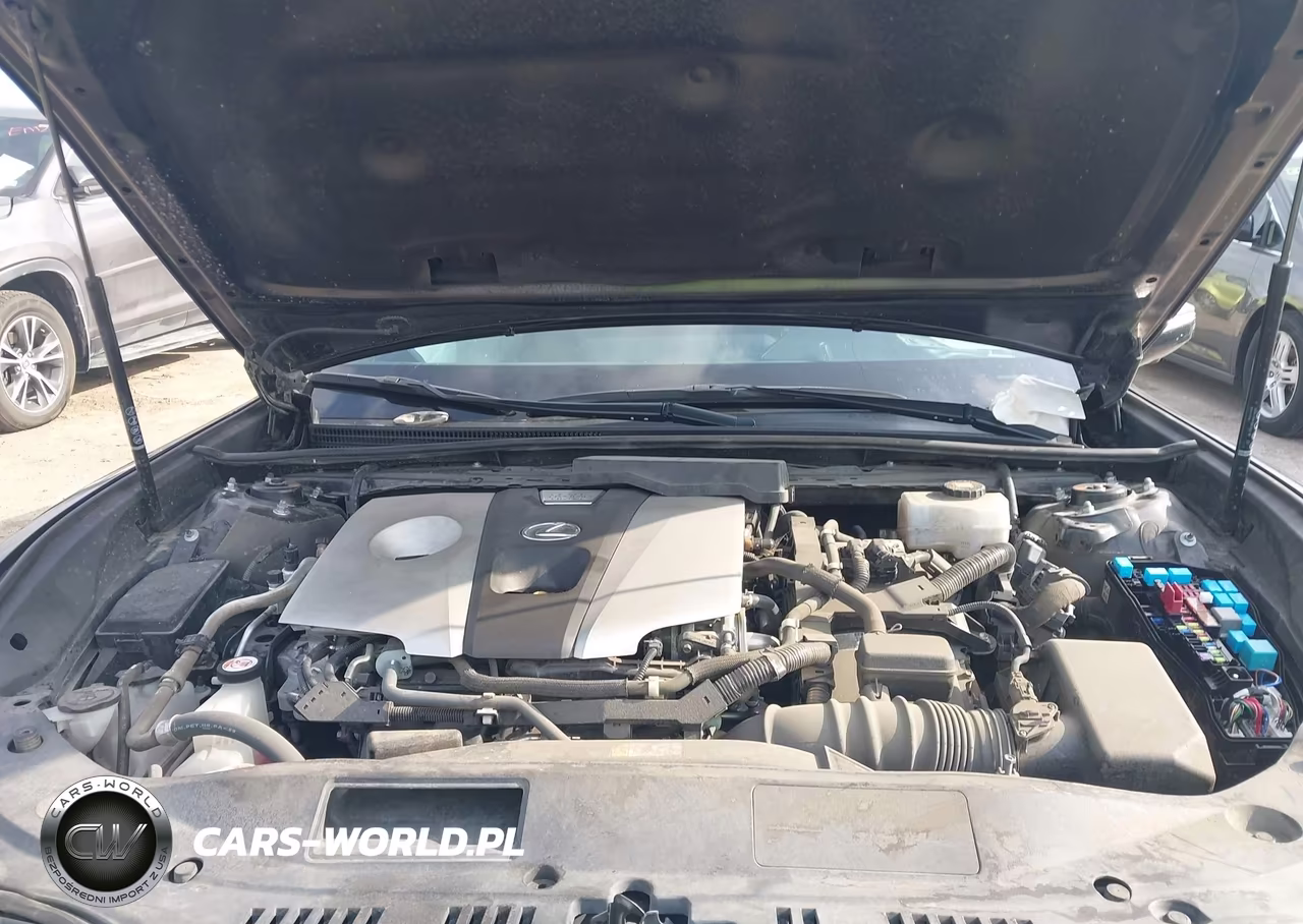 2021 Lexus Es 300H Ultra Luxury VIN:58AFA1C1XMU012533 - 10
