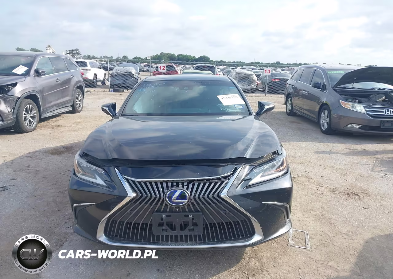 2021 Lexus Es 300H Ultra Luxury VIN:58AFA1C1XMU012533 - 11