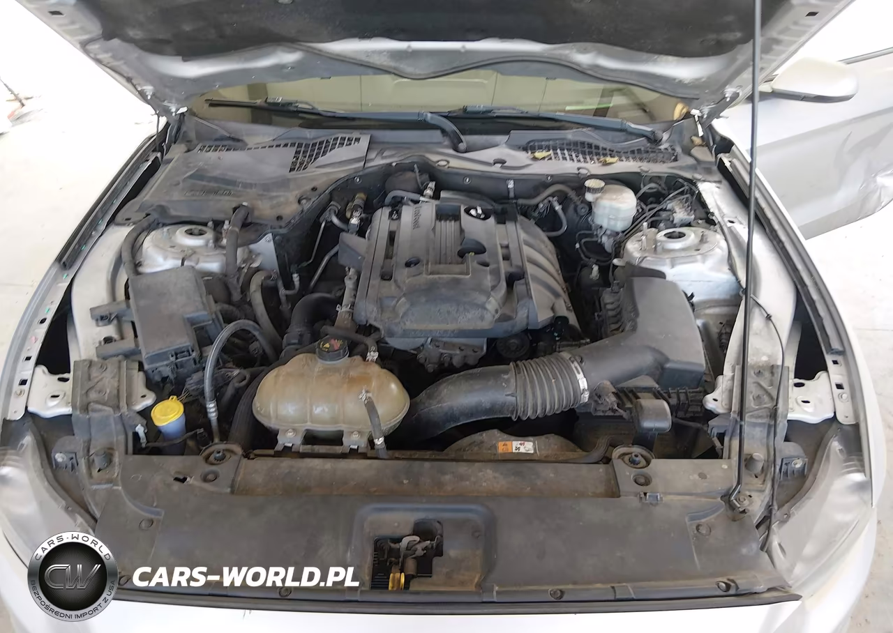 2016 Ford Mustang Ecoboost VIN:1FA6P8TH1G5257869 - 10