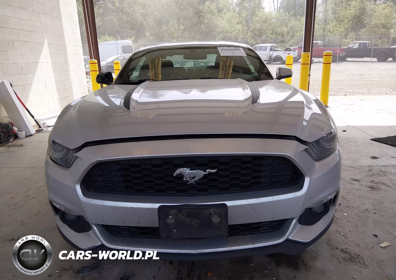 2016 Ford Mustang Ecoboost VIN:1FA6P8TH1G5257869 - 12
