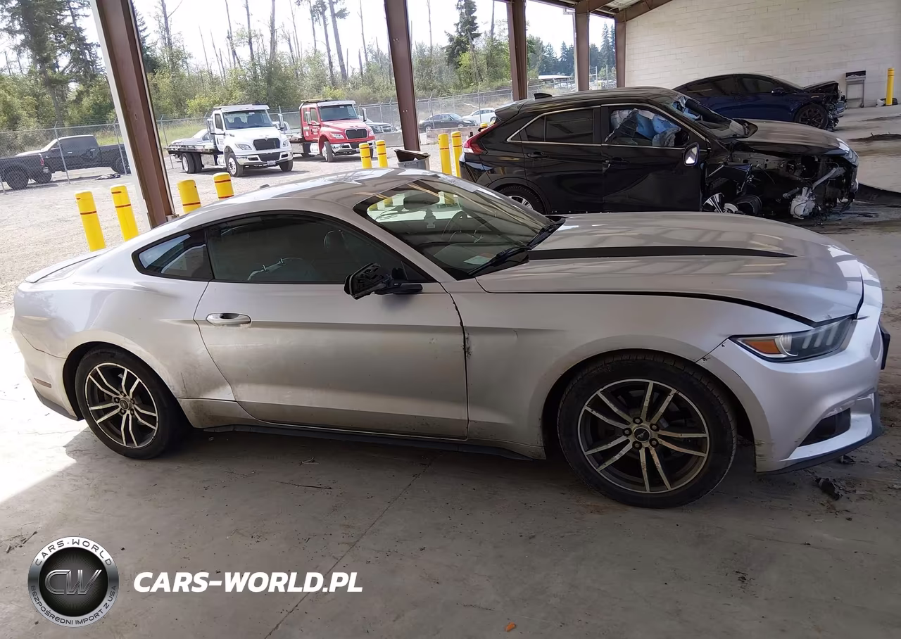 2016 Ford Mustang Ecoboost VIN:1FA6P8TH1G5257869 - 13