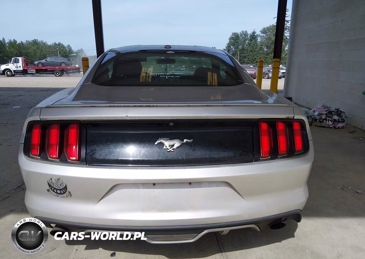 2016 Ford Mustang Ecoboost VIN:1FA6P8TH1G5257869 - 16