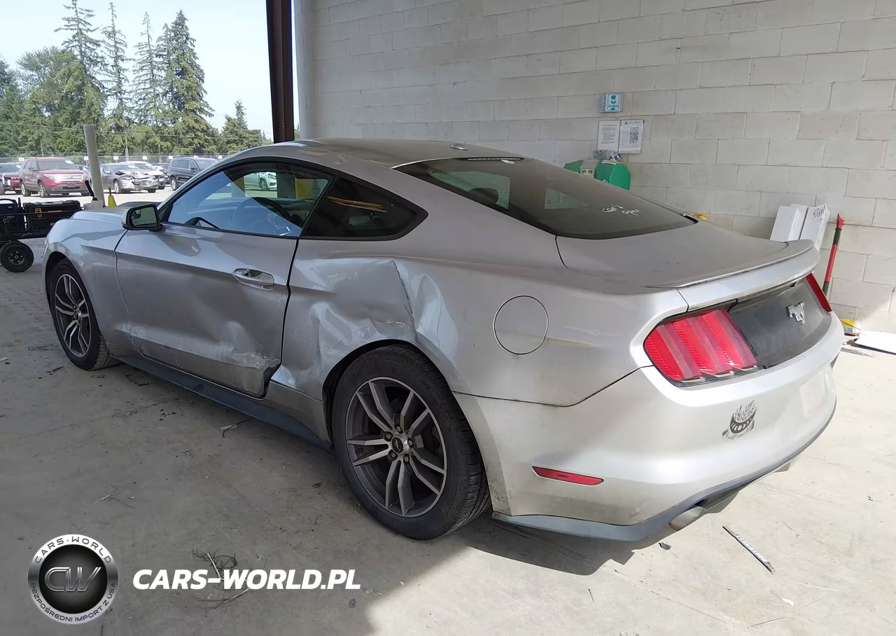 2016 Ford Mustang Ecoboost VIN:1FA6P8TH1G5257869 - 3