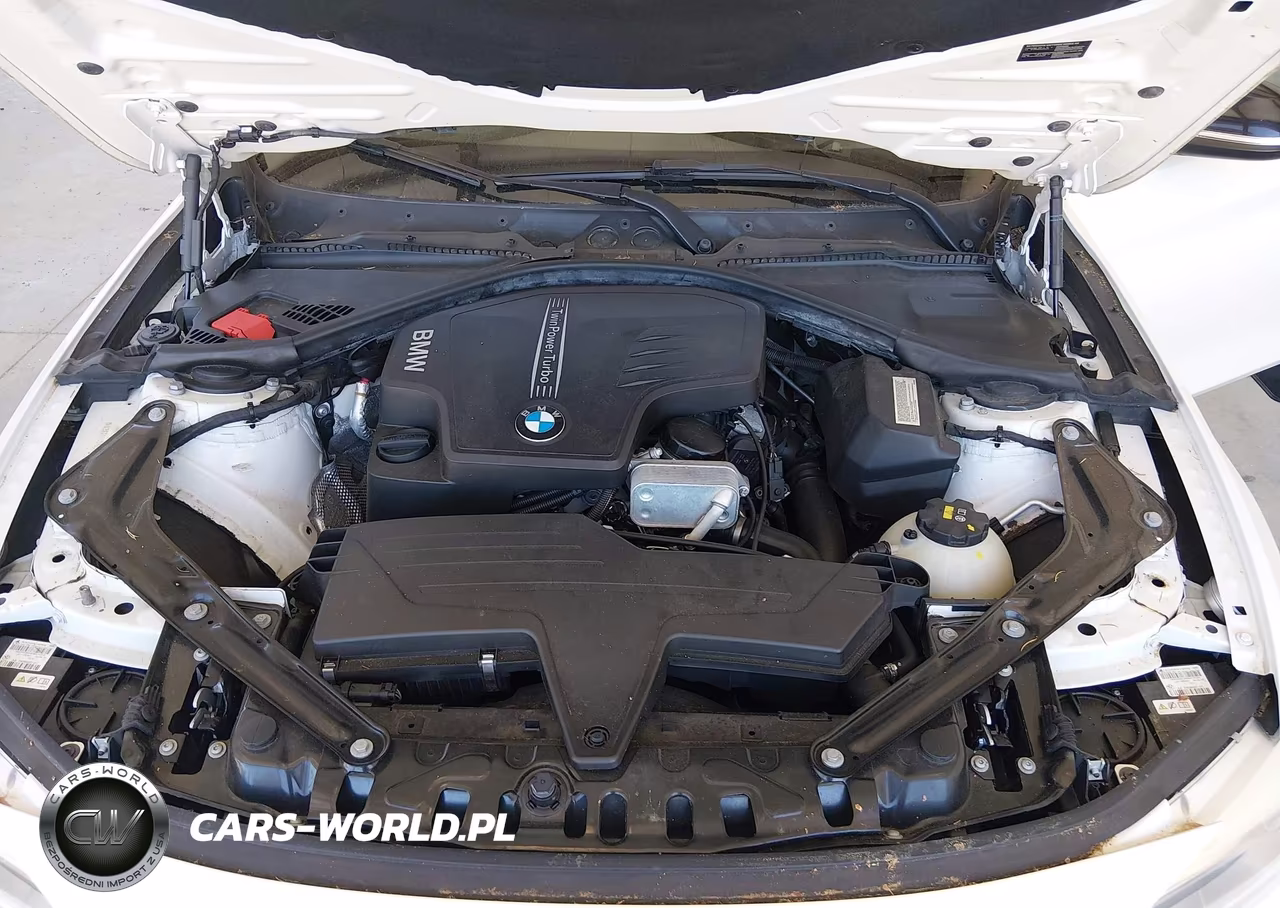 2014 BMW 428I VIN:WBA3V7C57EJ873189 - 10