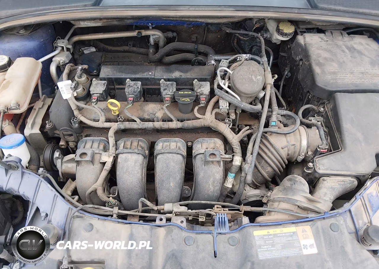 2013 Ford Focus Titanium VIN:1FADP3N29DL131642 - 10