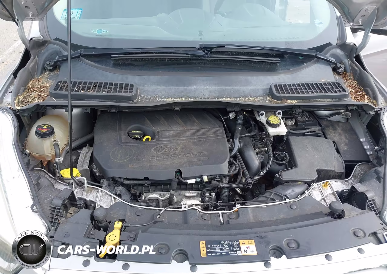 2017 Ford Escape Se VIN:1FMCU0GD2HUA76717 - 10