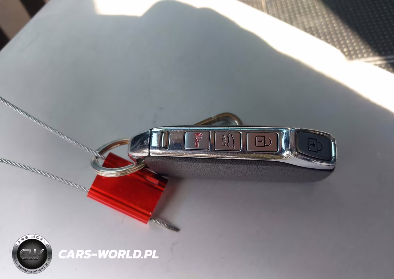 2021 Kia Telluride Ex VIN:5XYP3DHC8MG130779 - 11