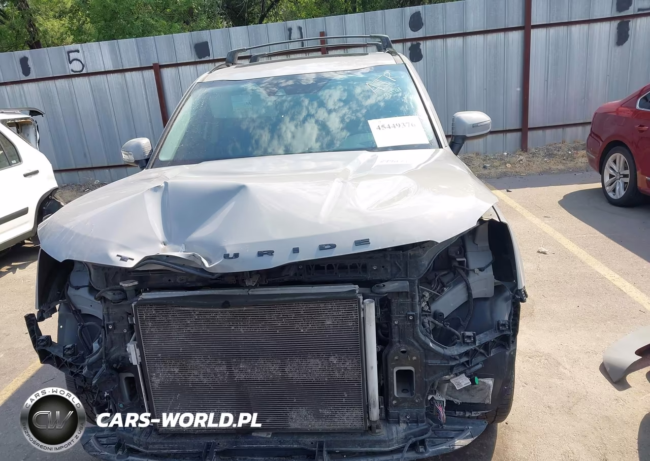 2021 Kia Telluride Ex VIN:5XYP3DHC8MG130779 - 13