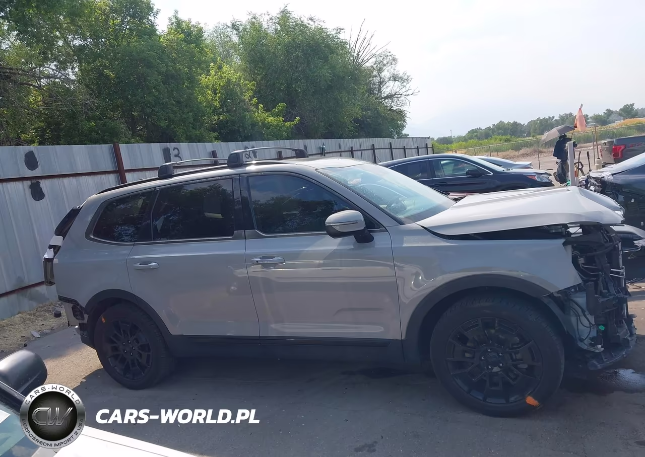 2021 Kia Telluride Ex VIN:5XYP3DHC8MG130779 - 14