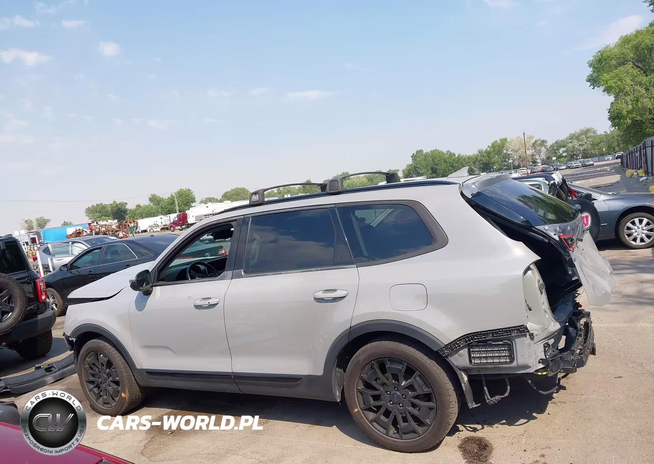 2021 Kia Telluride Ex VIN:5XYP3DHC8MG130779 - 15