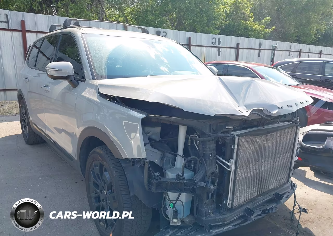 2021 Kia Telluride Ex VIN:5XYP3DHC8MG130779 - 18
