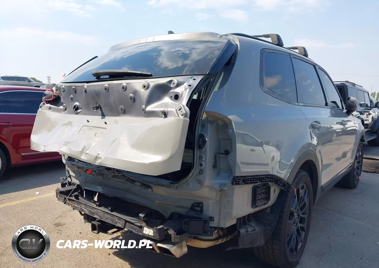 2021 Kia Telluride Ex VIN:5XYP3DHC8MG130779 - 19