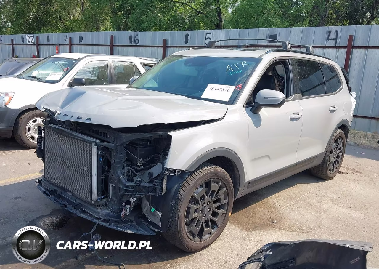 2021 Kia Telluride Ex VIN:5XYP3DHC8MG130779 - 2