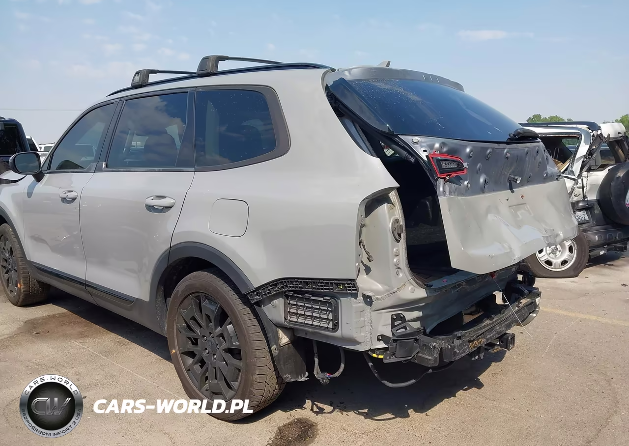 2021 Kia Telluride Ex VIN:5XYP3DHC8MG130779 - 20