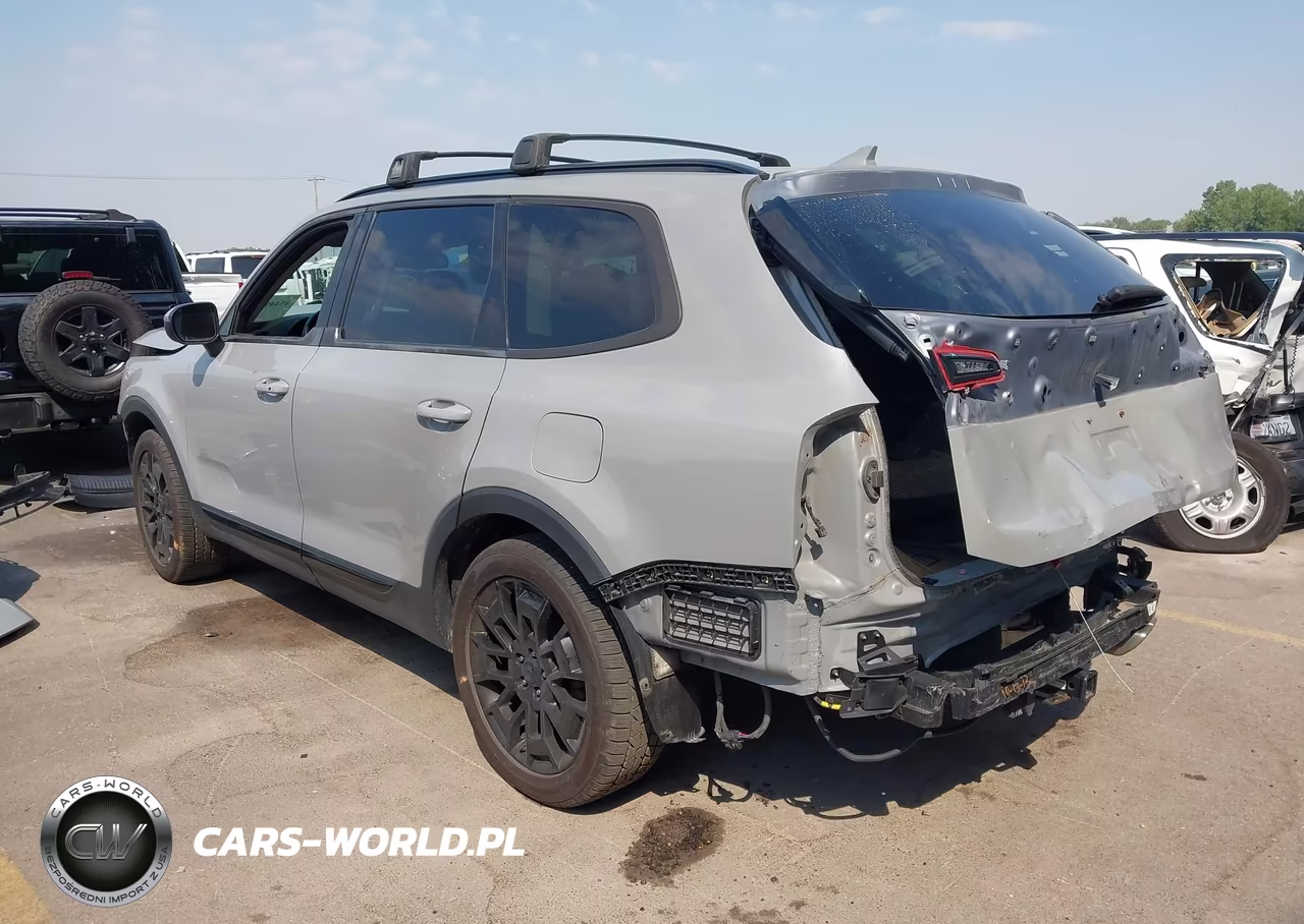 2021 Kia Telluride Ex VIN:5XYP3DHC8MG130779 - 3
