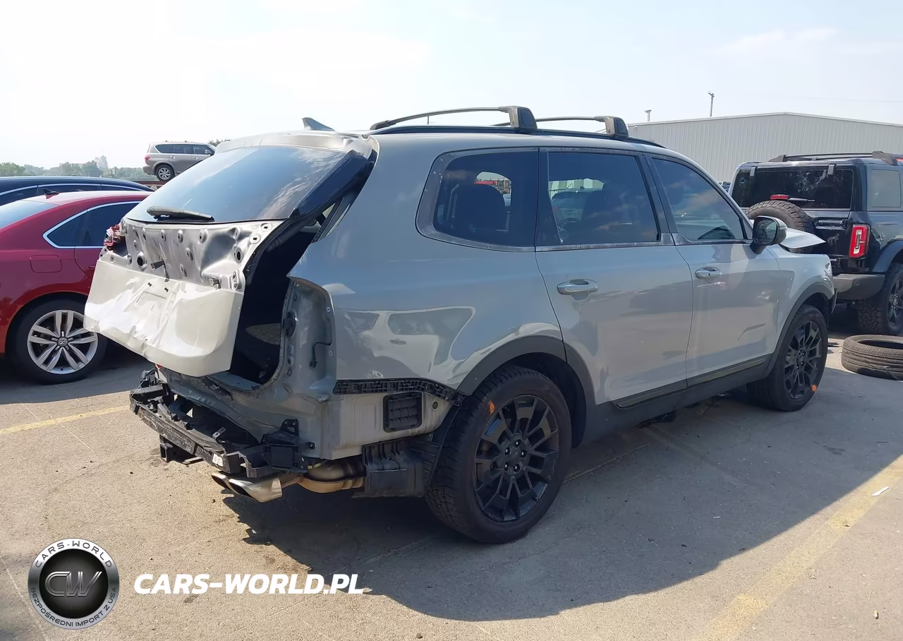 2021 Kia Telluride Ex VIN:5XYP3DHC8MG130779 - 4