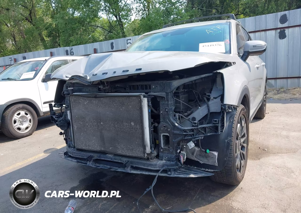 2021 Kia Telluride Ex VIN:5XYP3DHC8MG130779 - 6