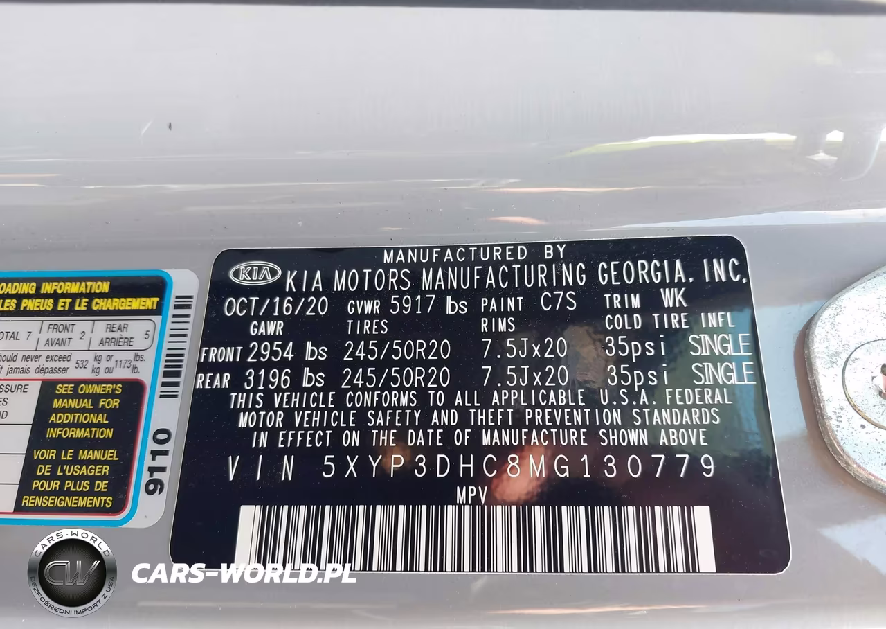 2021 Kia Telluride Ex VIN:5XYP3DHC8MG130779 - 9