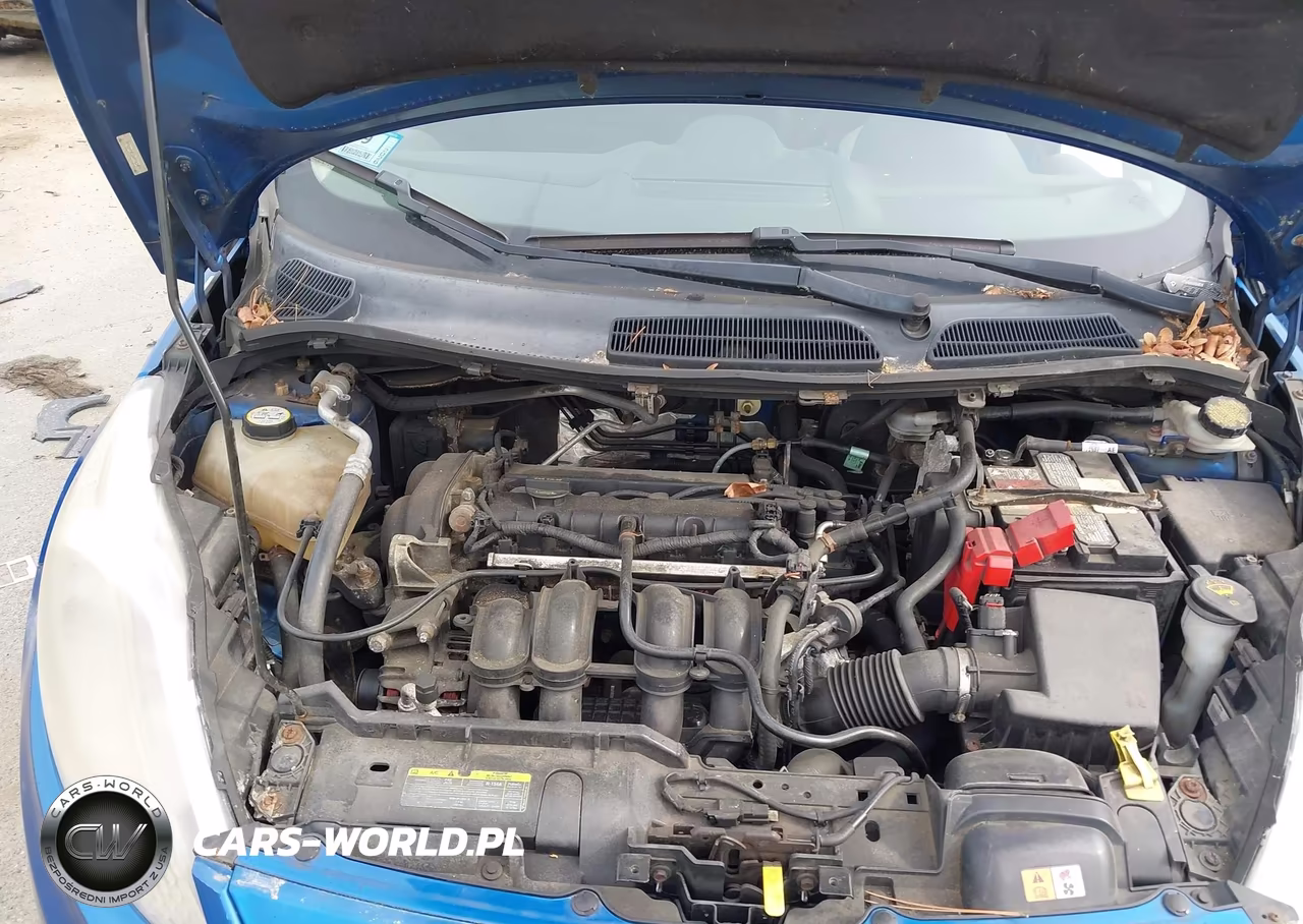2011 Ford Fiesta Se VIN:3FADP4EJ6BM143997 - 10