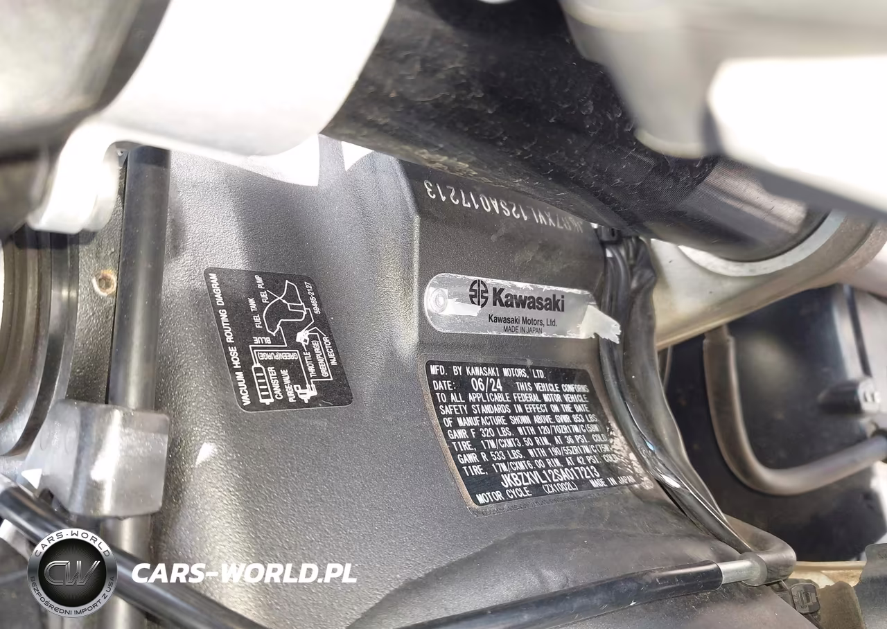 2025 Kawasaki Zx1002 L VIN:JKBZXVL12SA017213 - 10