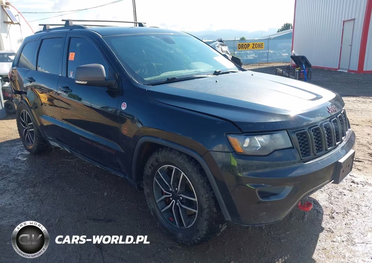 2019 Jeep Grand Cherokee Trailhawk 4X4 VIN:1C4RJFLT2KC625594 - 1
