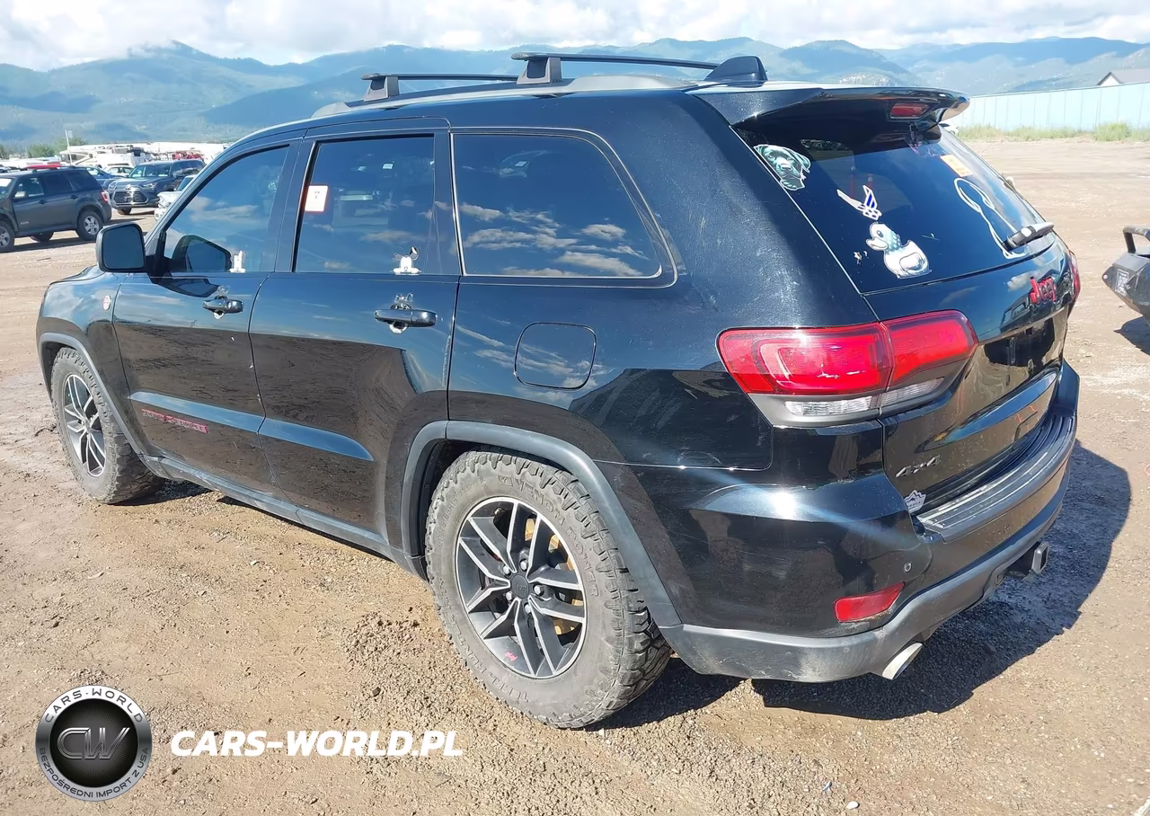 2019 Jeep Grand Cherokee Trailhawk 4X4 VIN:1C4RJFLT2KC625594 - 3