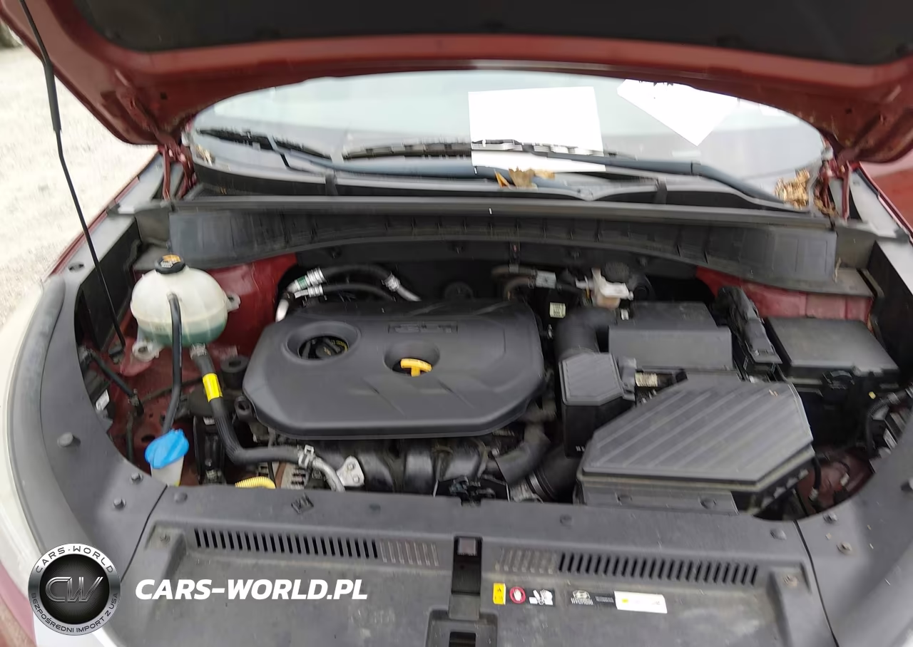 2019 Hyundai Tucson Se VIN:KM8J2CA44KU979112 - 10