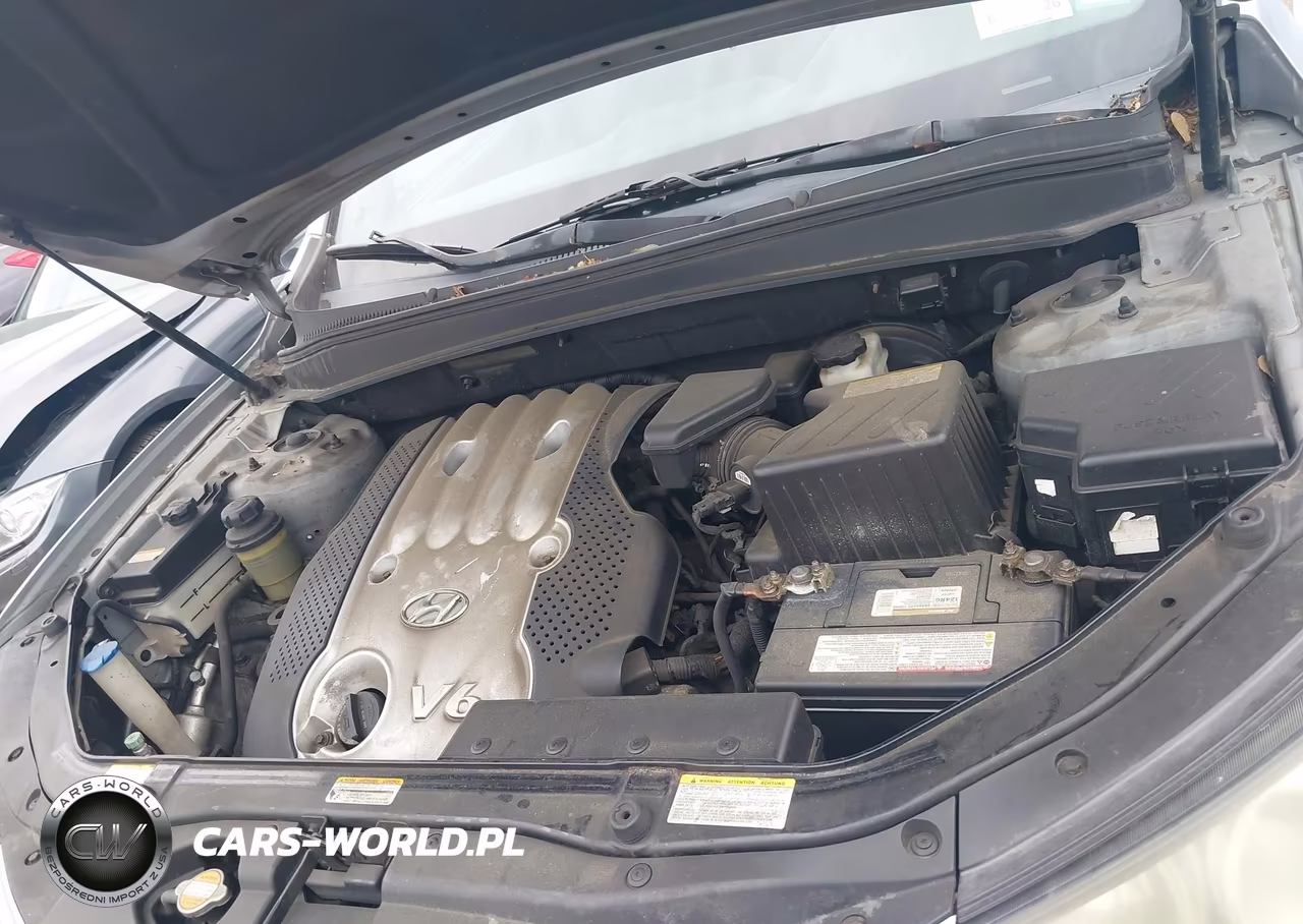 2007 Hyundai Santa Fe Gls VIN:5NMSG13D67H037346 - 10
