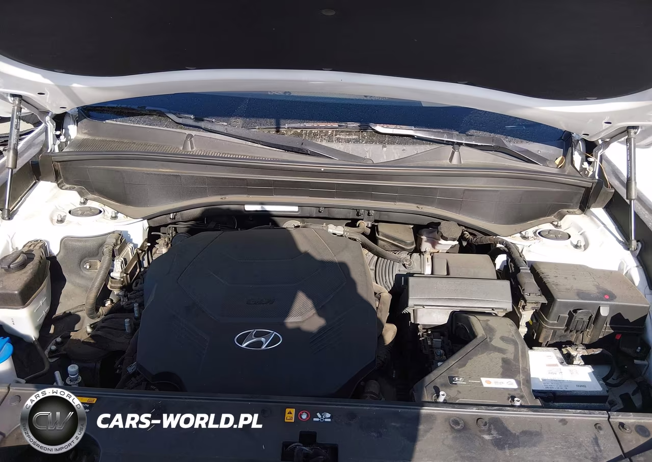 2020 Hyundai Palisade Limited VIN:KM8R54HE2LU072066 - 10