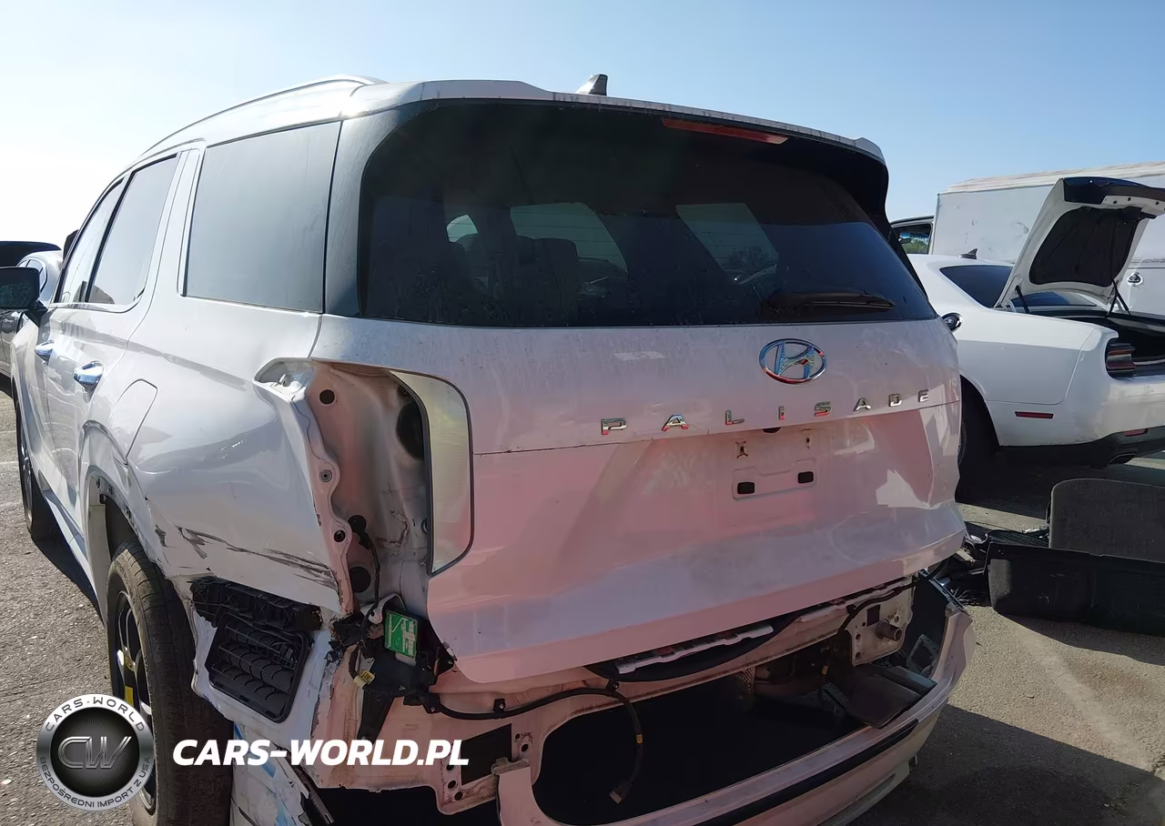 2020 Hyundai Palisade Limited VIN:KM8R54HE2LU072066 - 17