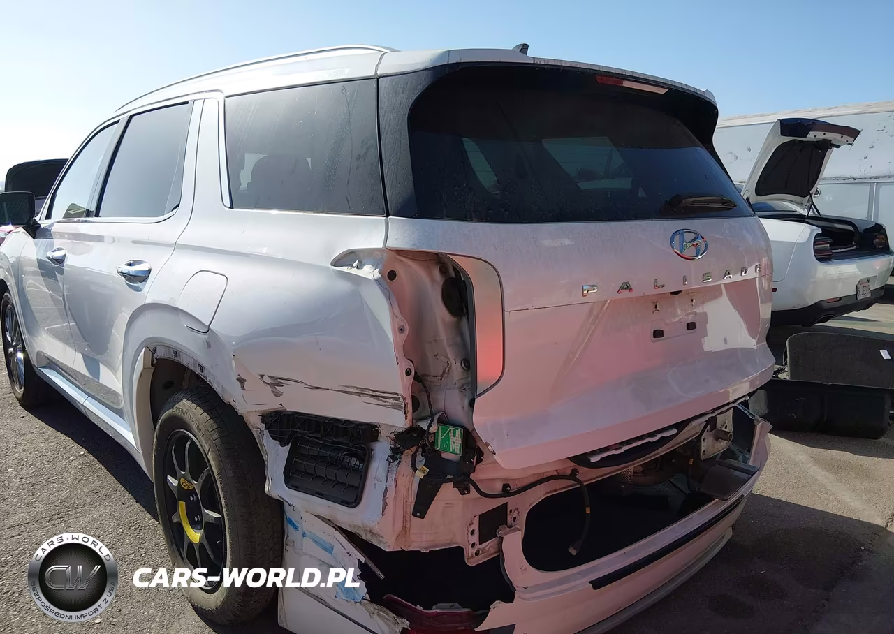 2020 Hyundai Palisade Limited VIN:KM8R54HE2LU072066 - 6