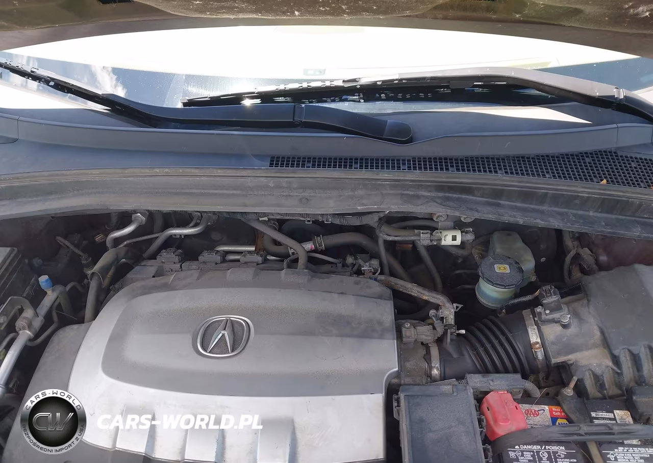 2010 Acura Mdx VIN:2HNYD2H29AH509259 - 10