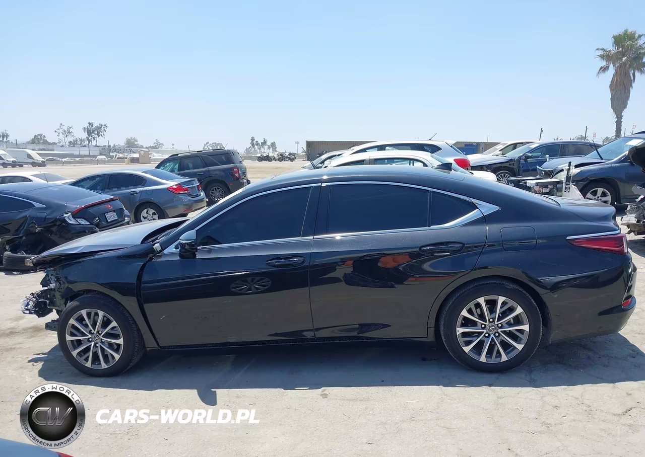 2025 Lexus Es 350 VIN:58ACZ1B19SU218694 - 15
