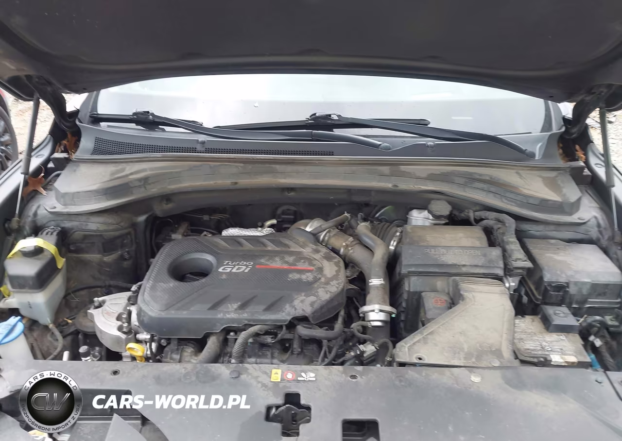 2020 Hyundai Santa Fe Limited 2.0T VIN:5NMS53AA1LH231965 - 10