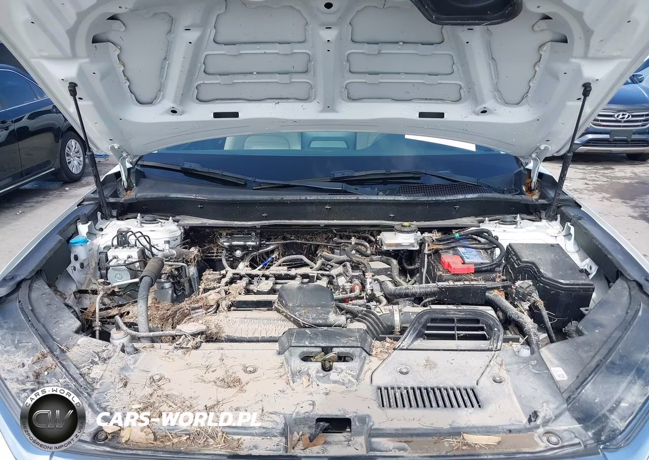 2025 Honda Cr-V Ex-L 2Wd VIN:7FARS3H75SE000895 - 10