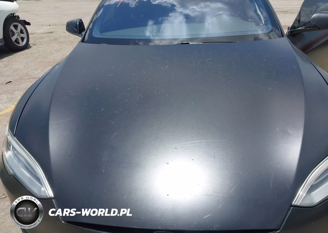 2017 Tesla Model S 100D-60D-75D-90D-P100D VIN:5YJSA1E23HF229582 - 10
