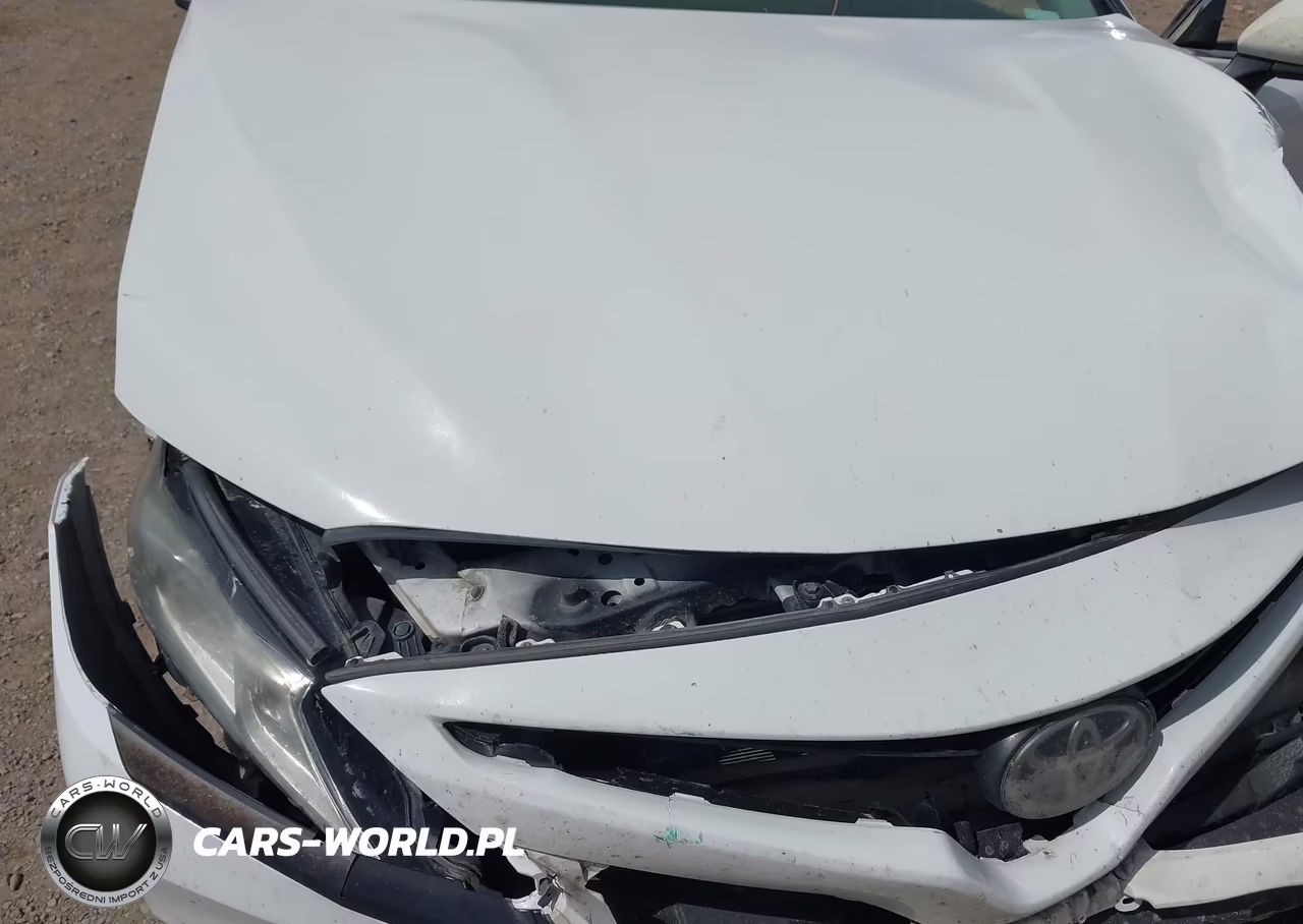 2018 Toyota Camry Se VIN:4T1B11HKXJU060309 - 10