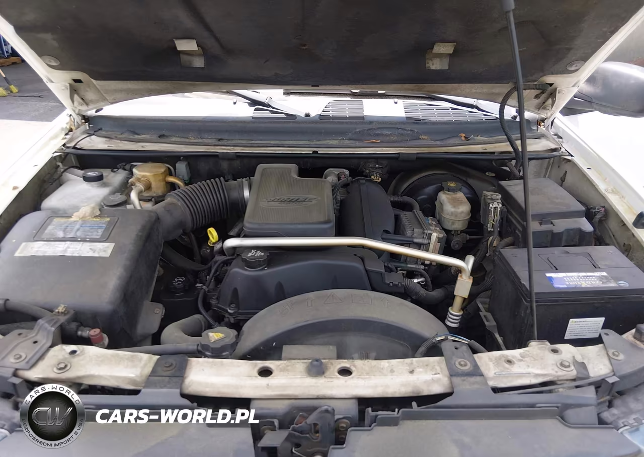 2005 Chevrolet Trailblazer Ext Ls VIN:1GNES16S256156213 - 10