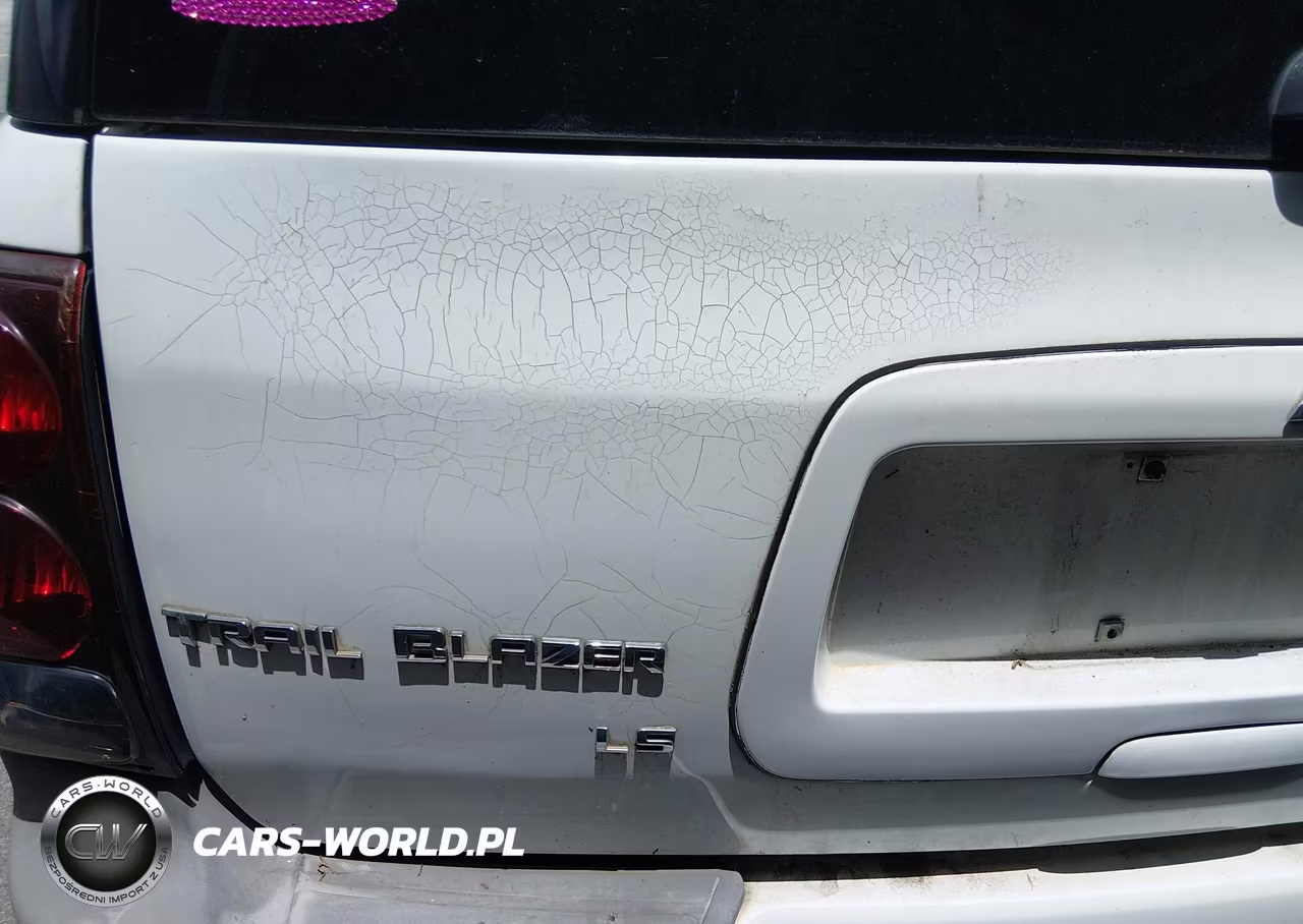 2005 Chevrolet Trailblazer Ext Ls VIN:1GNES16S256156213 - 6