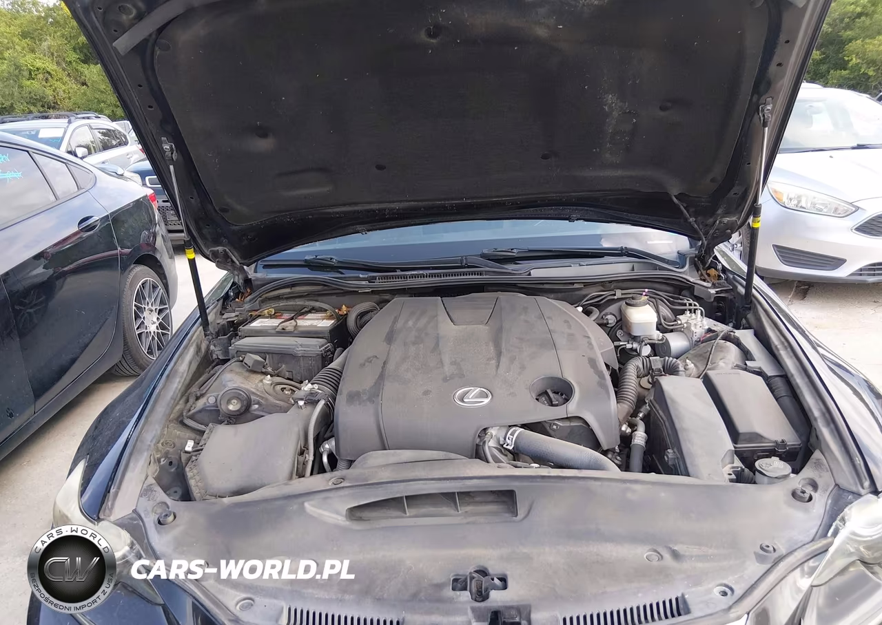 2014 Lexus Is 250 VIN:JTHBF1D24E5038204 - 10