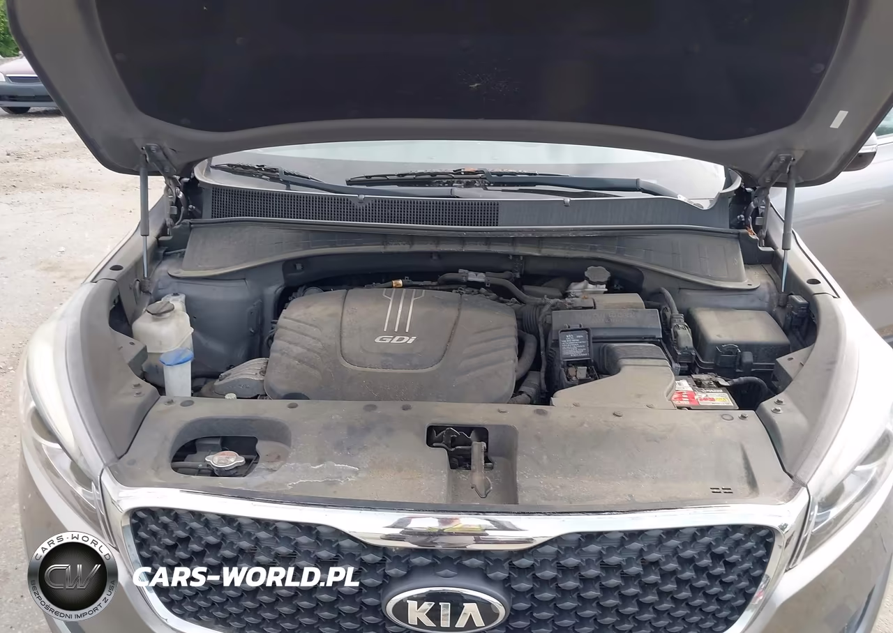 2016 Kia Sorento 3.3L Lx VIN:5XYPGDA51GG172053 - 10