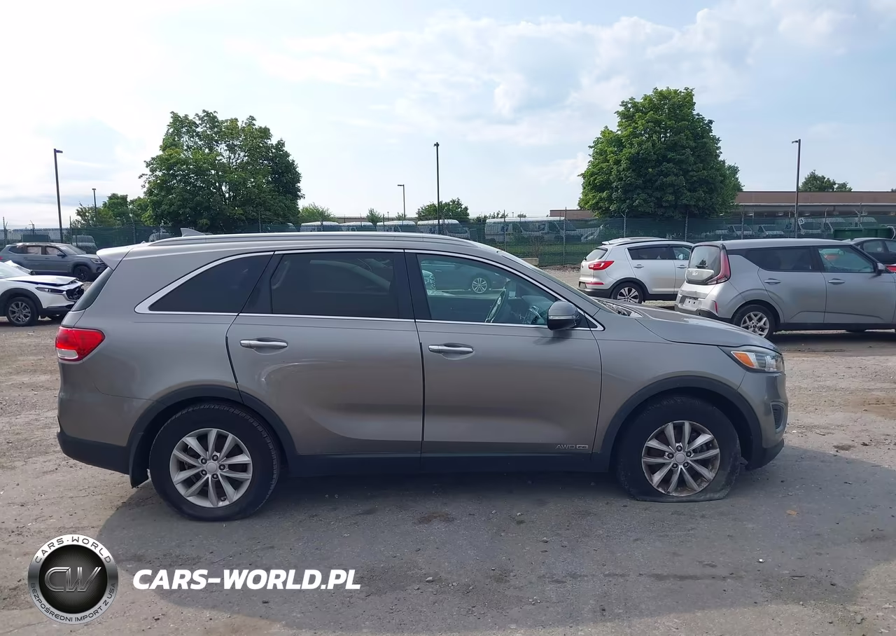 2016 Kia Sorento 3.3L Lx VIN:5XYPGDA51GG172053 - 13