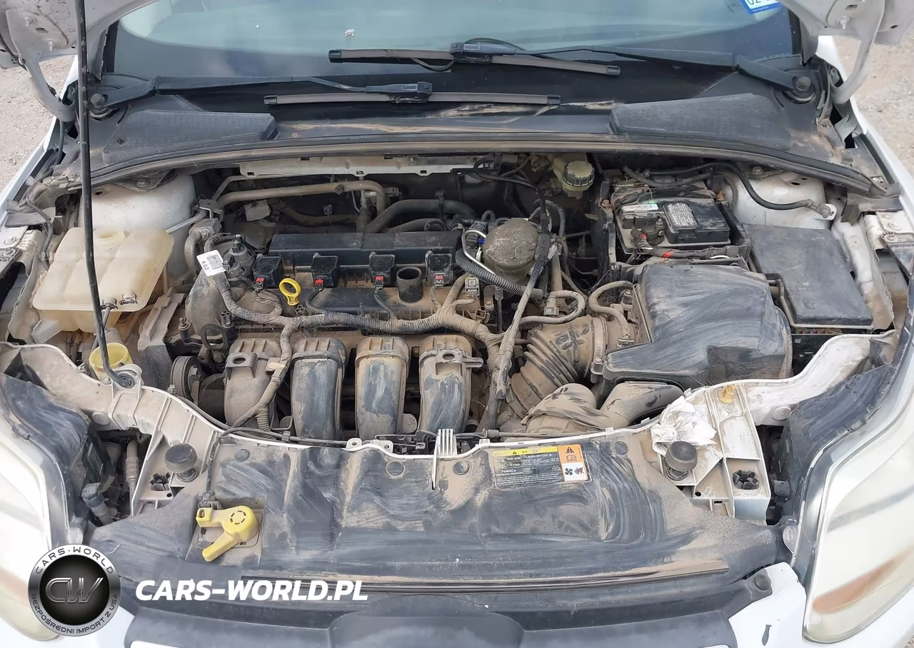 2014 Ford Focus Se VIN:1FADP3K27EL130169 - 10