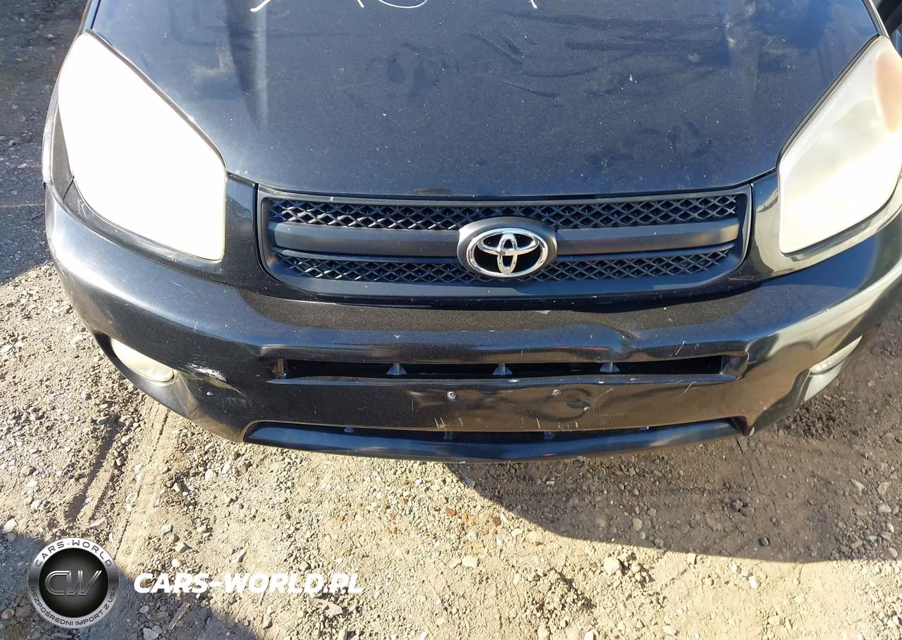 2004 Toyota Rav4 VIN:JTEHD20V546017938 - 6