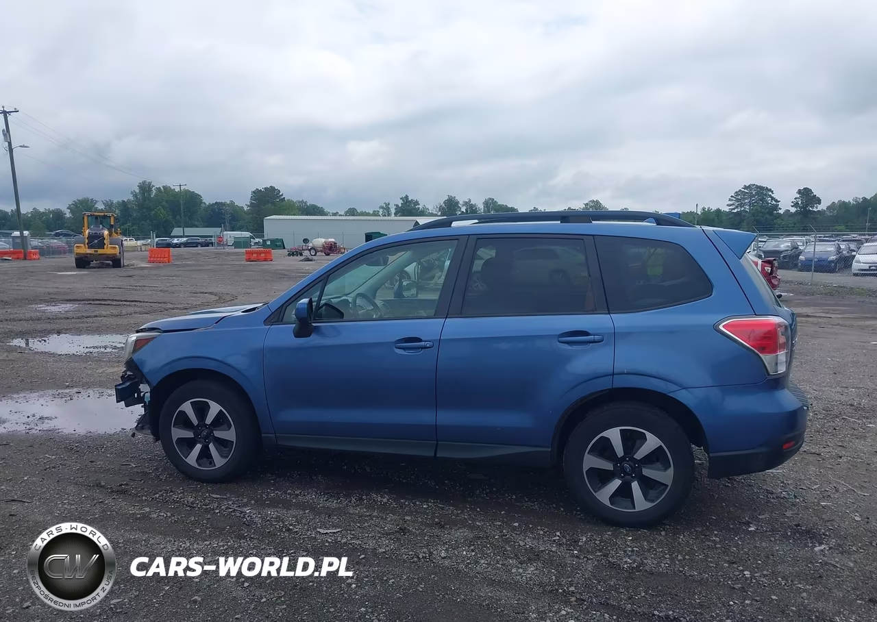2017 Subaru Forester 2.5I Premium VIN:JF2SJAGC1HH442408 - 15