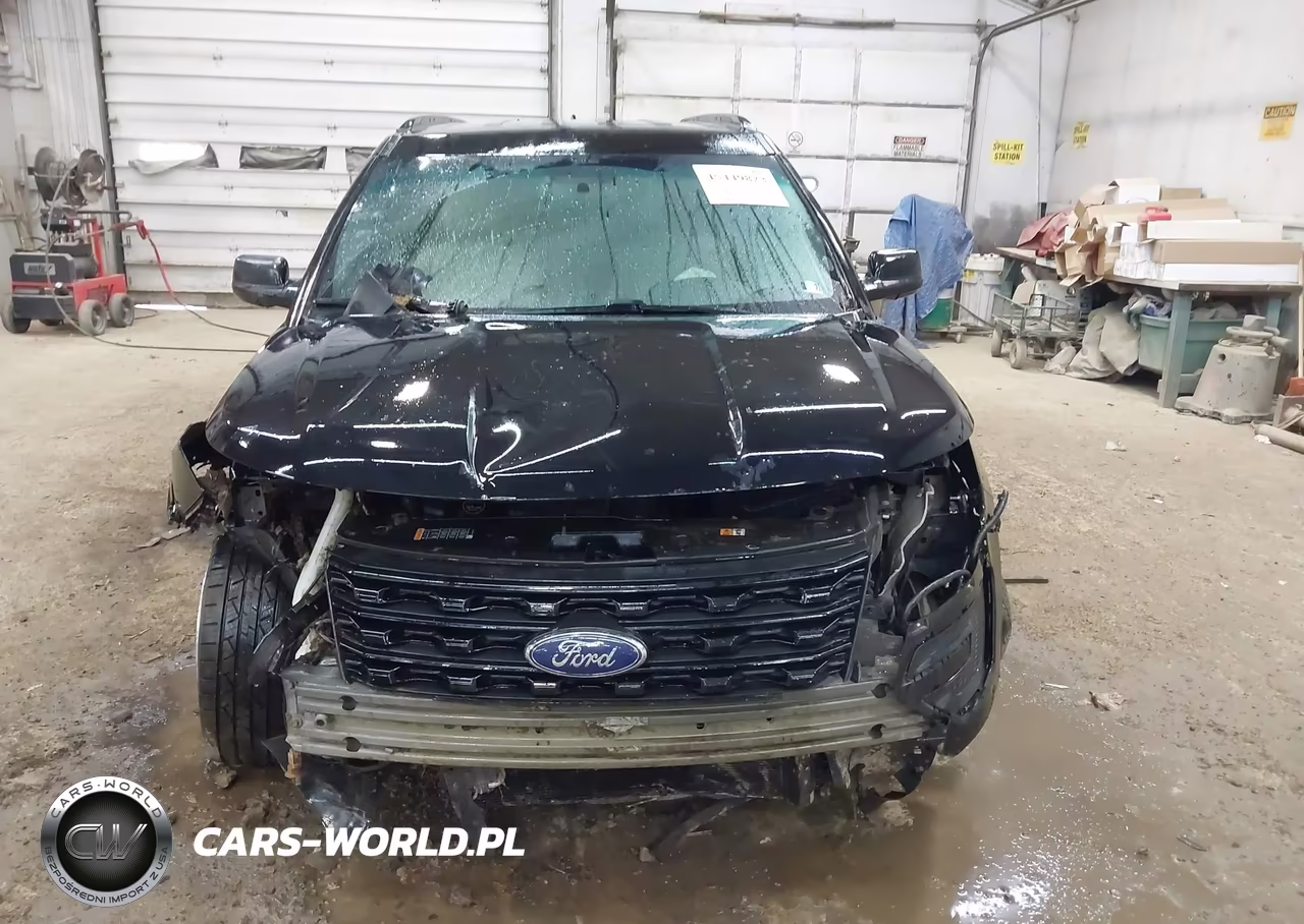 2017 Ford Explorer VIN:1FM5K8B80HGB00325 - 12