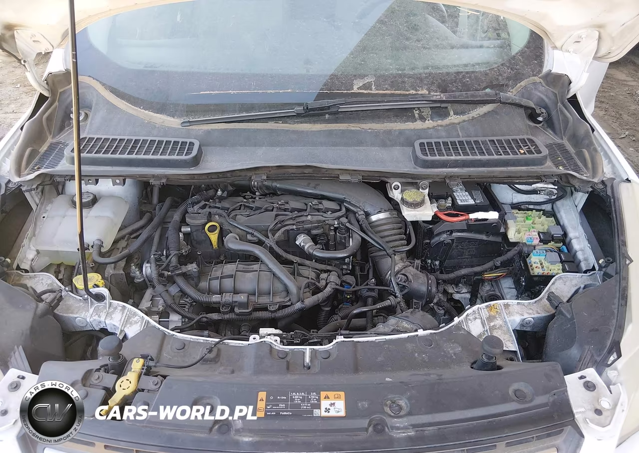 2014 Ford Escape Se VIN:1FMCU0GX6EUD42472 - 10